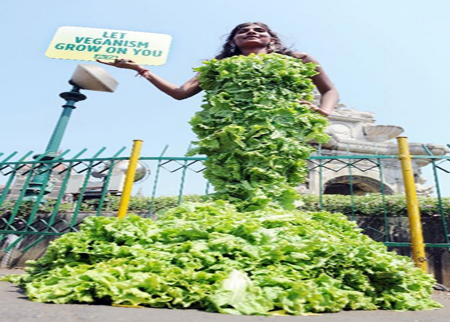 سيدة استرالية تتحدى الأمطار بثوب من الخس.. لإتقاذ الحيوانات