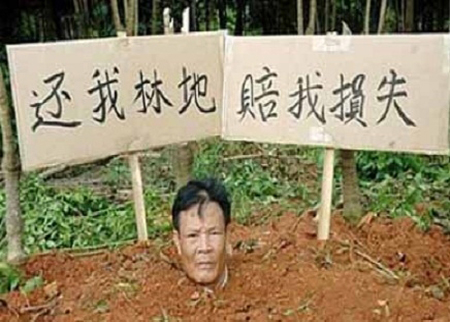 دفن نفسه احتجاجاً على اقتلاع أشجاره