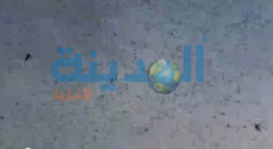 لحظة دخول مجموعات الجراد للأردن السبت ( فيديو )