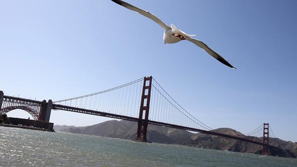 اشتريا منزلا وهدماه.. لإعاقته منظر البحر