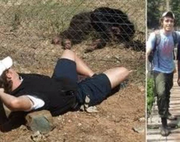 أمريكي يواجه الموت بعد أن اقتلع قردا شمبانزي أذنه وأصابعه