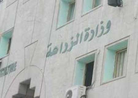 ورشة عمل عن الزراعة العضوية في عين الباشا ورشة عمل عن الزراعة العضوية في عين الباشا