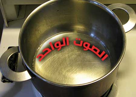 أي تعديل لـ”الانتخاب” لا ينهي الصوت المجزوء لا معنى له