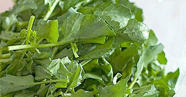 الجرجير وصفار البيض والعدس للقضاء على الأنيميا