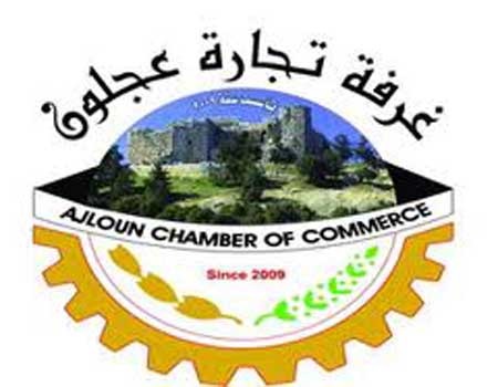 الصمادي: الاصلاحات خطوة نحو بناء الاردن القوي 