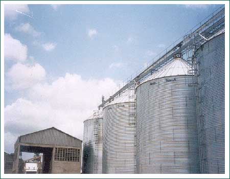 صوامع الرمثا تواصل استلامها للحبوب من المزارعين 