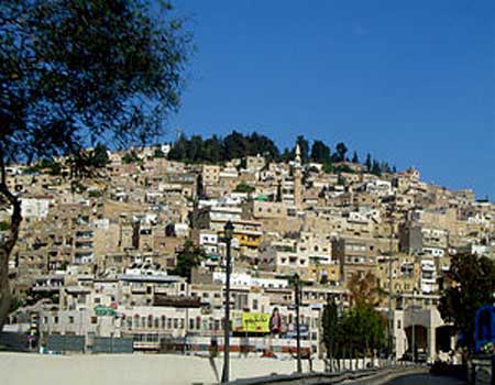 الوكالة الاميركية للتنمية تنظم يوما تطوعيا بمتنزه زي الوكالة الاميركية للتنمية تنظم يوما تطوعيا بمتنزه زي