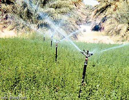 ورشة عمل عن استخدام تقنية عوز الري 