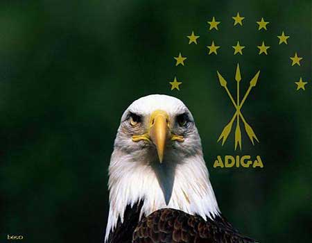 تأسيسية المجلس الشبابي الشركسي ترفض مقاطعة الانتخابات تأسيسية المجلس الشبابي الشركسي ترفض مقاطعة الانتخابات