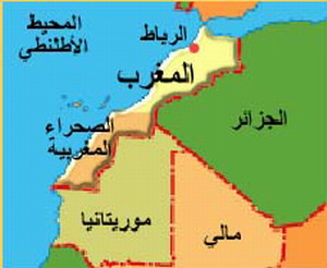 مجلس الامن يدعو الى مواصلة المفاوضات حول الصحراء الغربية 