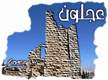 فعاليات شعبية في عجلون تؤكد التفافها حول القيادة الهاشمية  