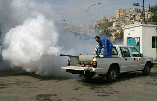 الأمانة : حملات مكثفة لضبط ناقلات الأمراض خلال شهر رمضان