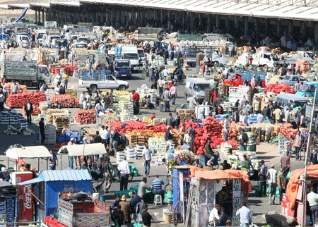 3300 طن منتجات بستانية دخلت السوق المركزي  الاحد 