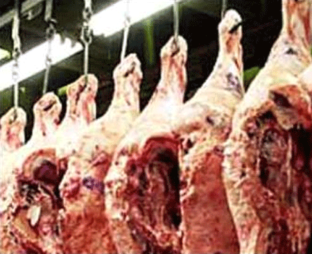  إتلاف " 40 " طن لحوم ومعاينة مليون ونصف أخرى خلال  عشرة أيام 