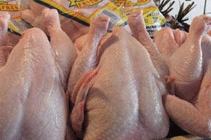 إتلاف 1336 كيلوغرام من الدجاج المبرد في الزرقاء 