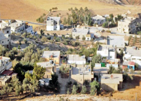 مواطنو طيبة الكرك يعانون من نقص مياه الشرب مواطنو طيبة الكرك يعانون من نقص مياه الشرب