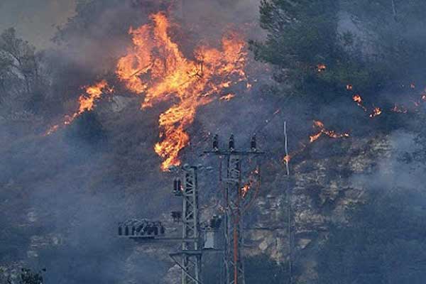 حرائق تلتهم جبل "الكرمل" وتقترب من مدينة القدس و4 طائرات للإطفاء