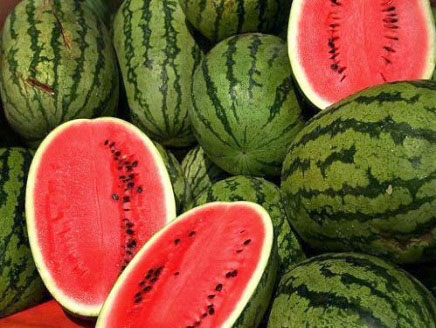 البطيخ علاج فعّال لوقف النزيف الدموي