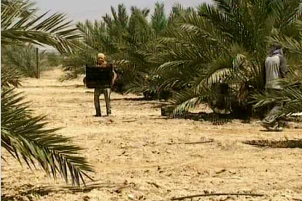 إسرائيل تطالب فلسطينيين بإخلاء مزارعهم