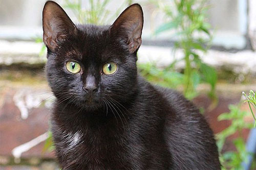 هر يُدخل ثمانينية إلى المستشفى