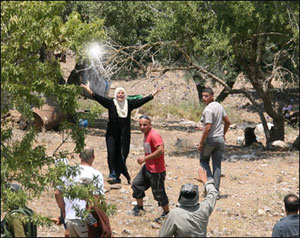 قطعان المستوطنين يقتحمون قرية قرب نابلس..وحجز 70 عاملا فلسطينيا داخل شاحنة