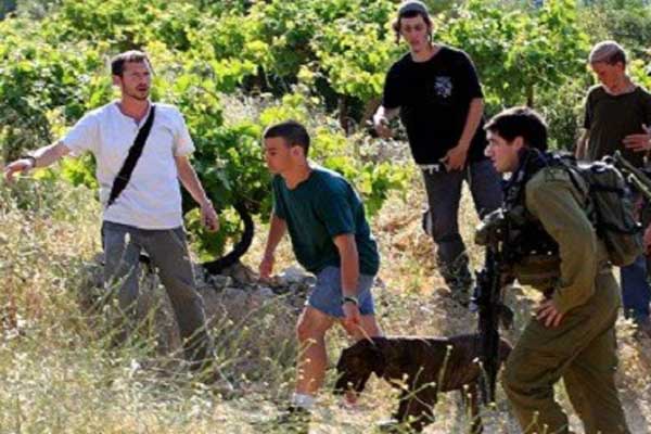 فلسطيني يهاجم مستوطناً بالفأس دفاعاً عن عائلته فلسطيني يهاجم مستوطناً بالفأس دفاعاً عن عائلته