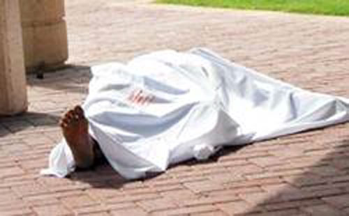 شاب مصري يقتل شقيقه بسبب اعتدائه على والدته المسنة