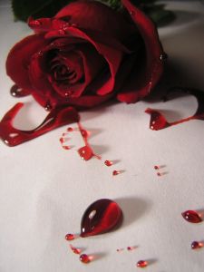 حاول قطف زهرة لحبيبته فأصيب بحجر أودى بحياته حاول قطف زهرة لحبيبته فأصيب بحجر أودى بحياته