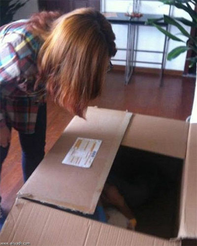 صيني يرسل نفسه بالبريد إلى حبيبته