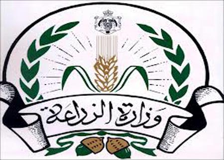 الزراعة تبحث الحلول والبدائل المناسبة لتصدير الخضار والفواكة الى اوروبا الزراعة تبحث الحلول والبدائل المناسبة لتصدير الخضار والفواكة الى اوروبا