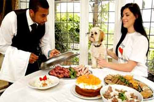 افتتاح ناد لمالكي الكلاب فقط في نيويورك 