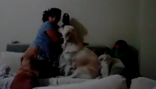 وفاء الكلب !!!