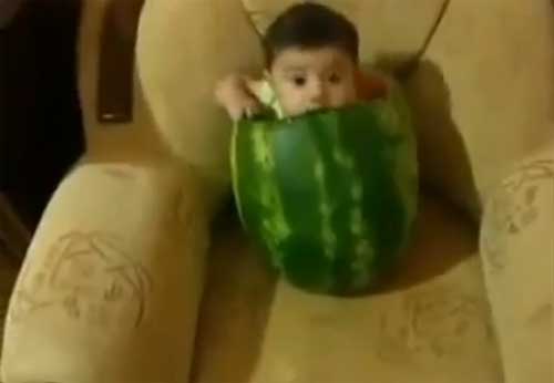 طفل داخل بطيخة