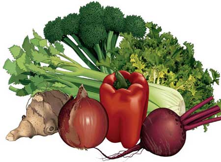 اسعار الخضروات والفواكه ستشهد انخفاضا قريبا 