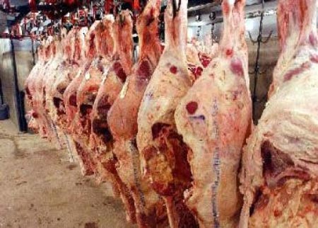 لجنة المهندسين المدنيين الشباب تعقد يوماً علمياً بعنوان الشغل لا يساوي الوظيفة لجنة المهندسين المدنيين الشباب تعقد يوماً علمياً بعنوان الشغل لا يساوي الوظيفة