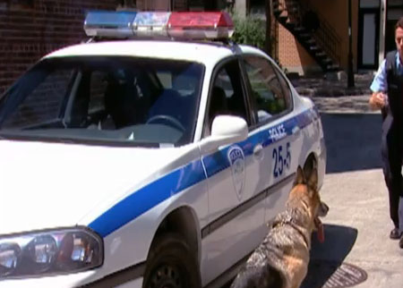 الشرطي والكلب