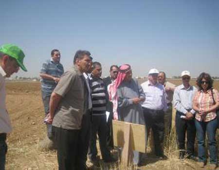 دور المشروعات الزراعية بتحسين دخل الاسرة بالمزار الجنوبي  