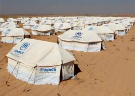 الصحة تدعو للمساعدة بتقديم الخدمات للاجئين السوريين الصحة تدعو للمساعدة بتقديم الخدمات للاجئين السوريين