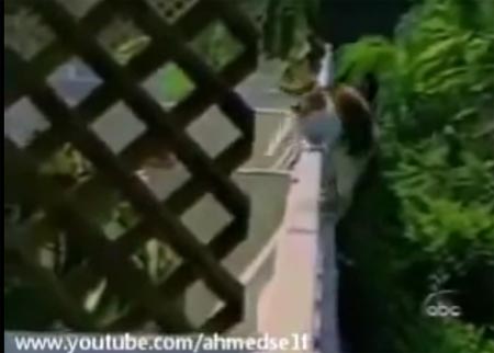 مواقف مضحكة