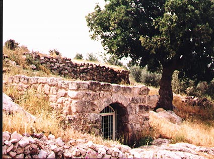 سياحة اربد وجمعية كهف السيد المسيح تحتفلان بيوم السياحة العالمي