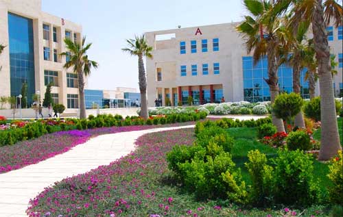 تشكيلات أكاديمية في جامعة الشرق الأوسط