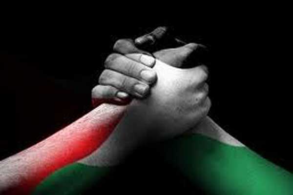 شيخ الأزهر: إنهاء الانقسام الفلسطيني هو السبيل لتحرير فلسطين