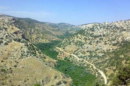 أضرار صحية وبيئية في الأغوار الجنوبية لاستخدام السماد العضوي غير المعقم 