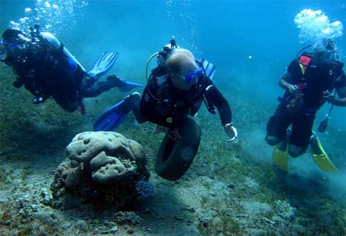 اختتام فعاليات نظفوا العالم  2012 ( صور )