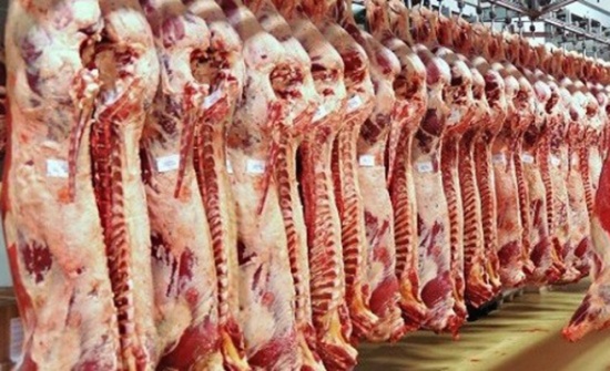 "المستهلك" تدعو الى تقنين شراء اللحوم والدواجن في رمضان