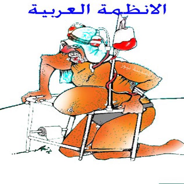 الانظمة العربية 