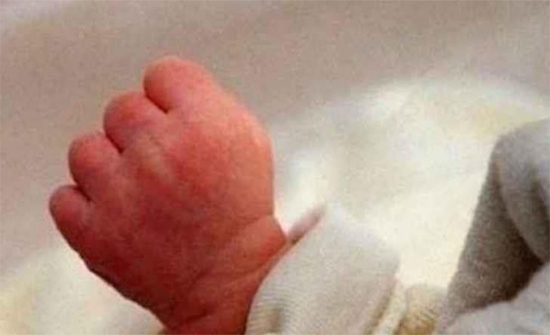 العثور على جنين غير مكتمل في حيز زجاجي العثور على جنين غير مكتمل في حيز زجاجي