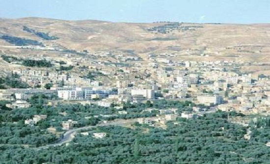 شكاوى من انتشار الحشرات الضارة بالطفيلة شكاوى من انتشار الحشرات الضارة بالطفيلة