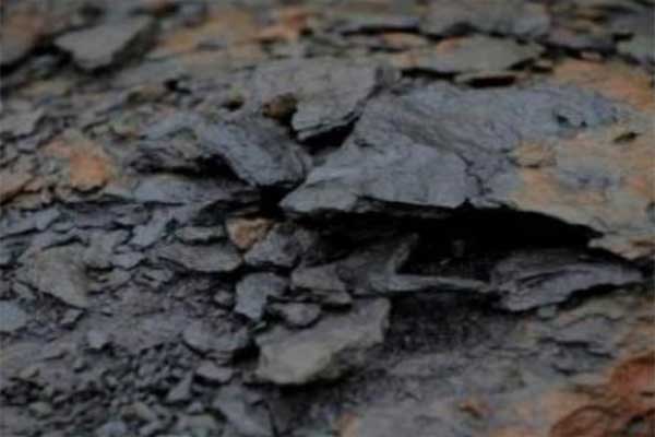 مذكرة تفاهم مع شركة كندية لانتاج النفط من الصخر الزيتي في جنوب المملكة مذكرة تفاهم مع شركة كندية لانتاج النفط من الصخر الزيتي في جنوب المملكة
