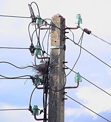 صعقة كهربائية تودي بحياة لص في سحاب !